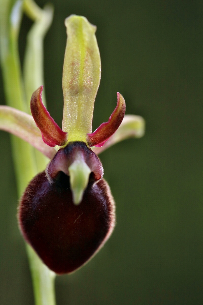 RNA_2017_05_06_2781p_Bildgr��e �ndern