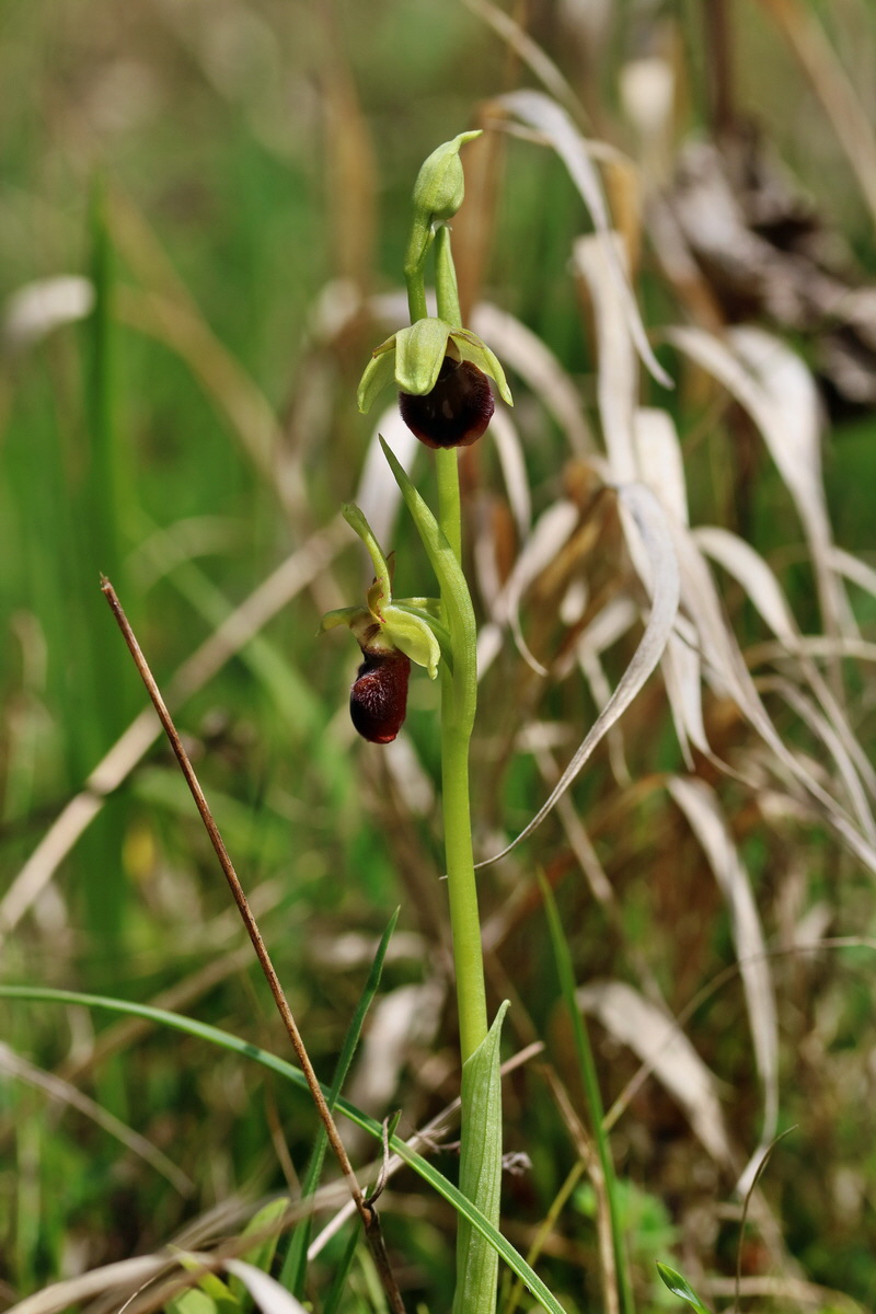 RNA_2017_05_06_2800p_Bildgr��e �ndern