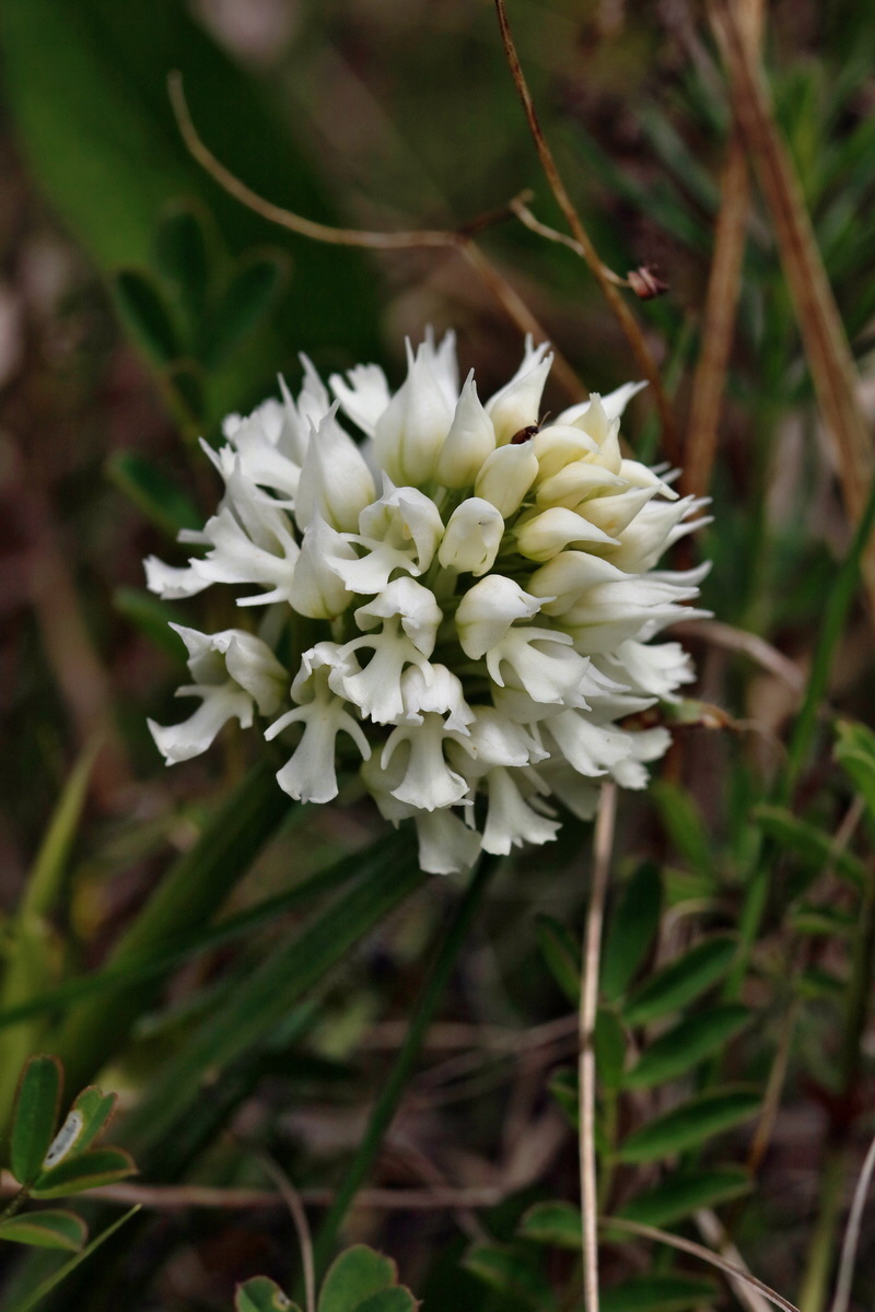 RNA_2017_05_06_2811p_Bildgr��e �ndern