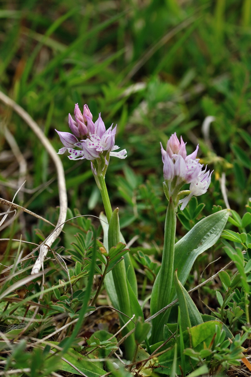 RNA_2017_05_06_2830p_Bildgr��e �ndern