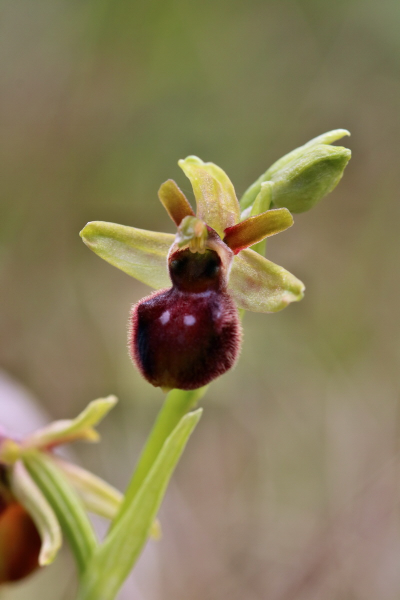 RNA_2017_05_06_2841p_Bildgr��e �ndern