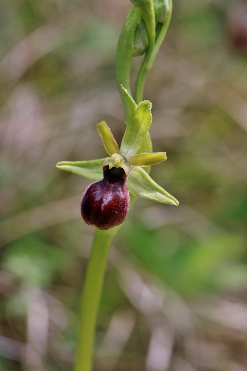 RNA_2017_05_06_2849p_Bildgr��e �ndern