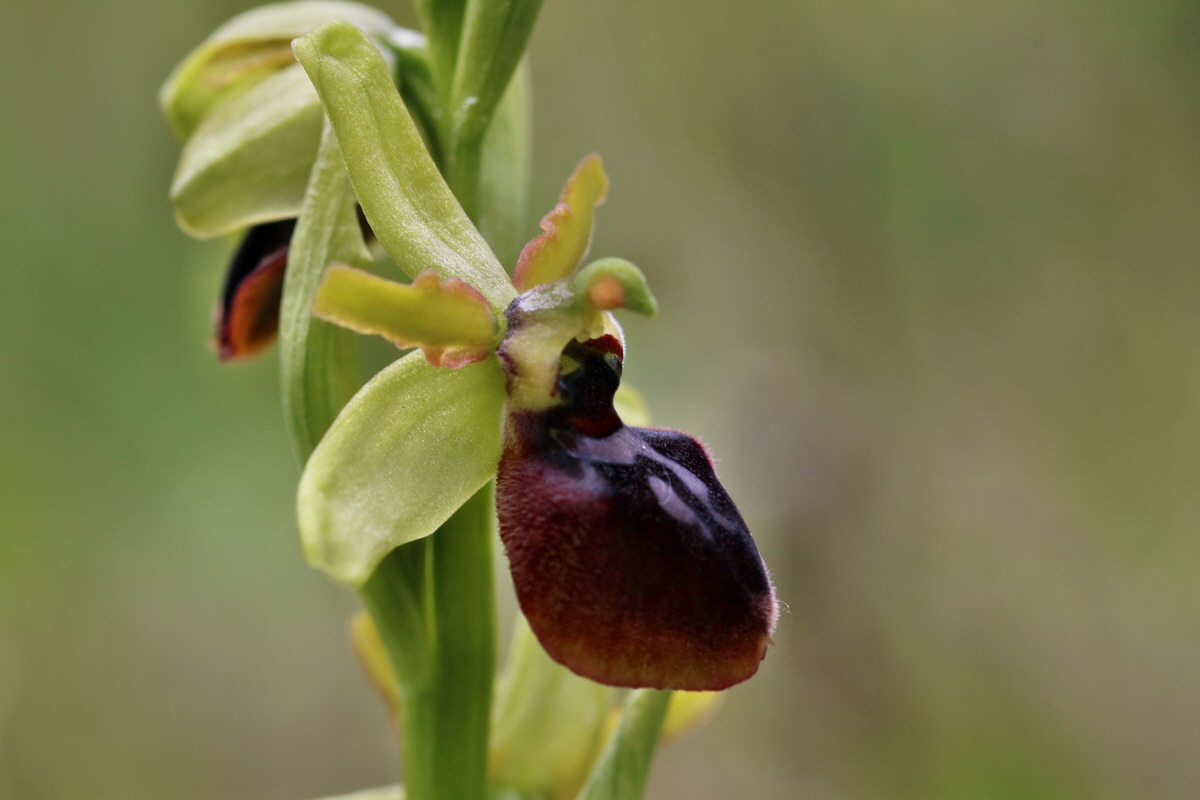 RNA_2017_05_06_2924p_Bildgr��e �ndern