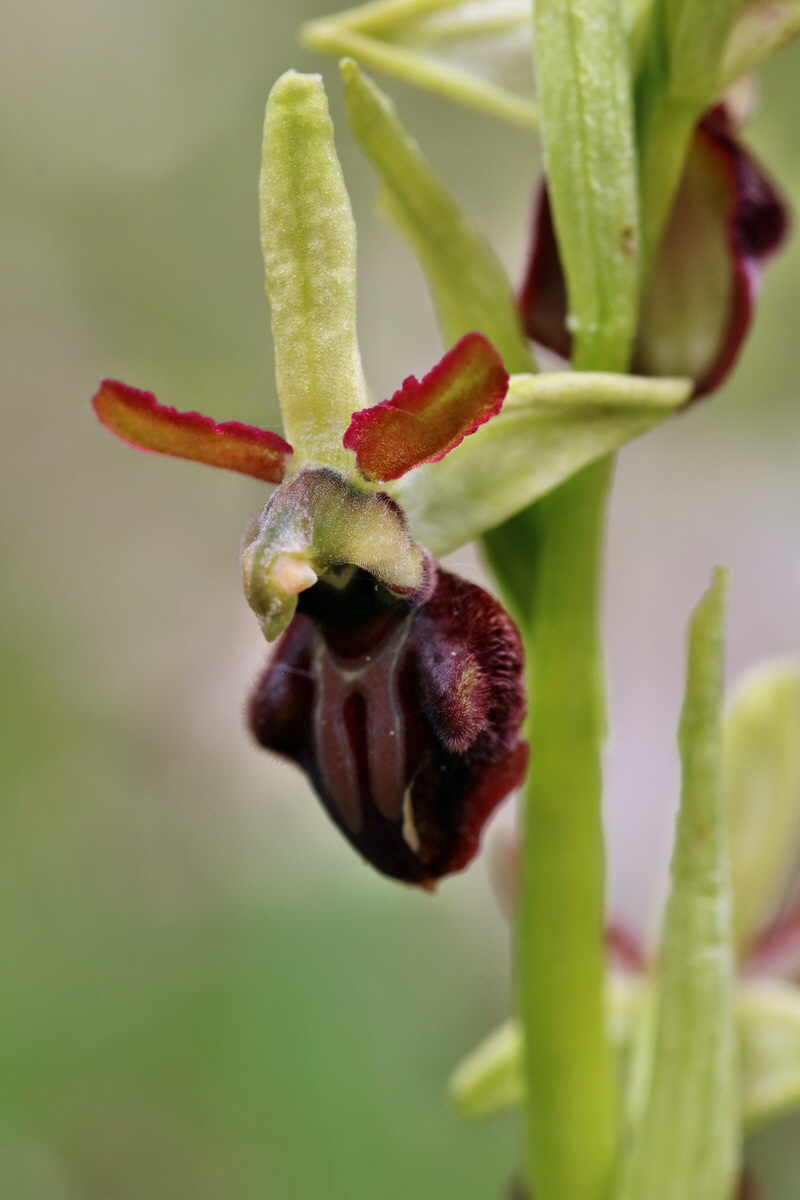 RNA_2017_05_06_2939p_Bildgr��e �ndern