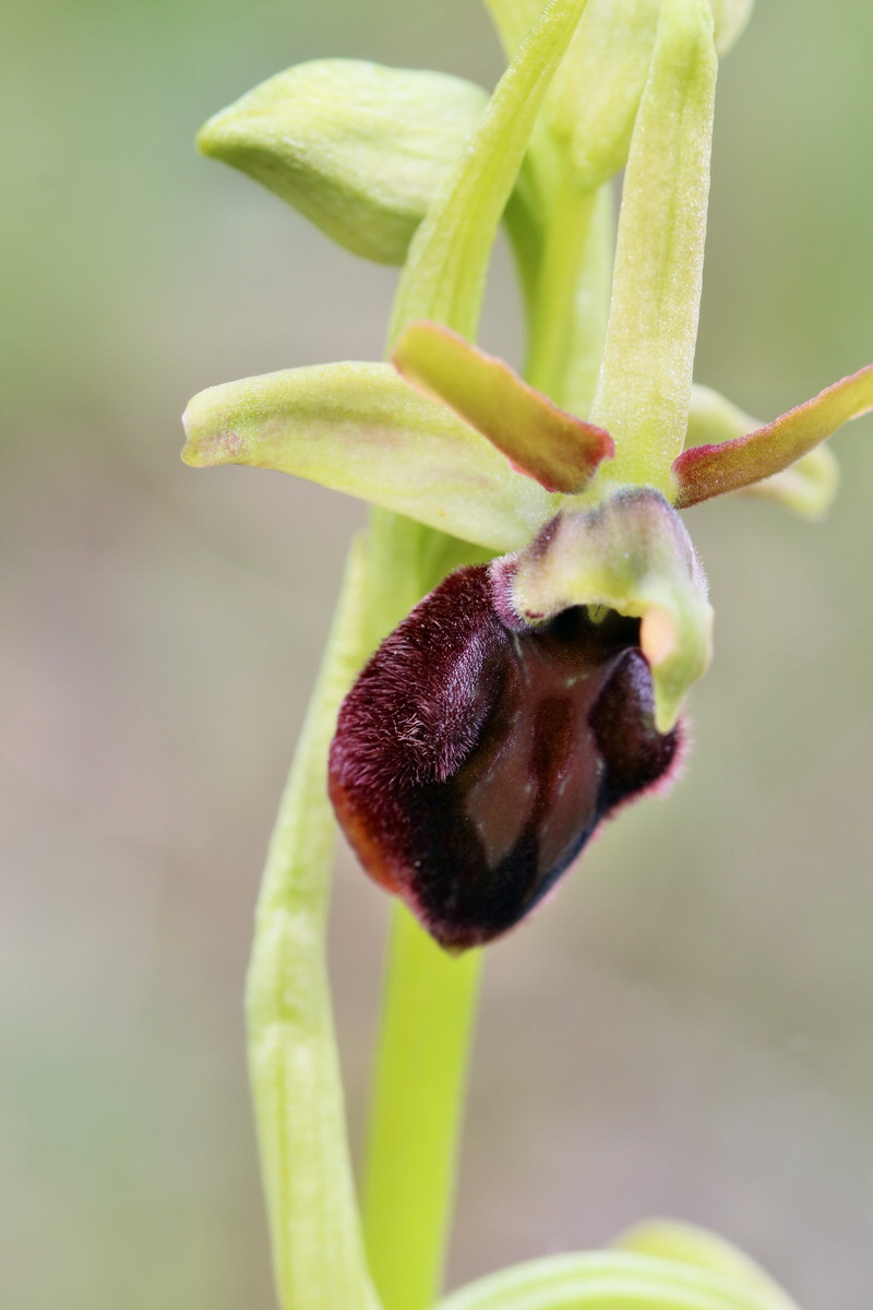 RNA_2017_05_06_2943p_Bildgr��e �ndern