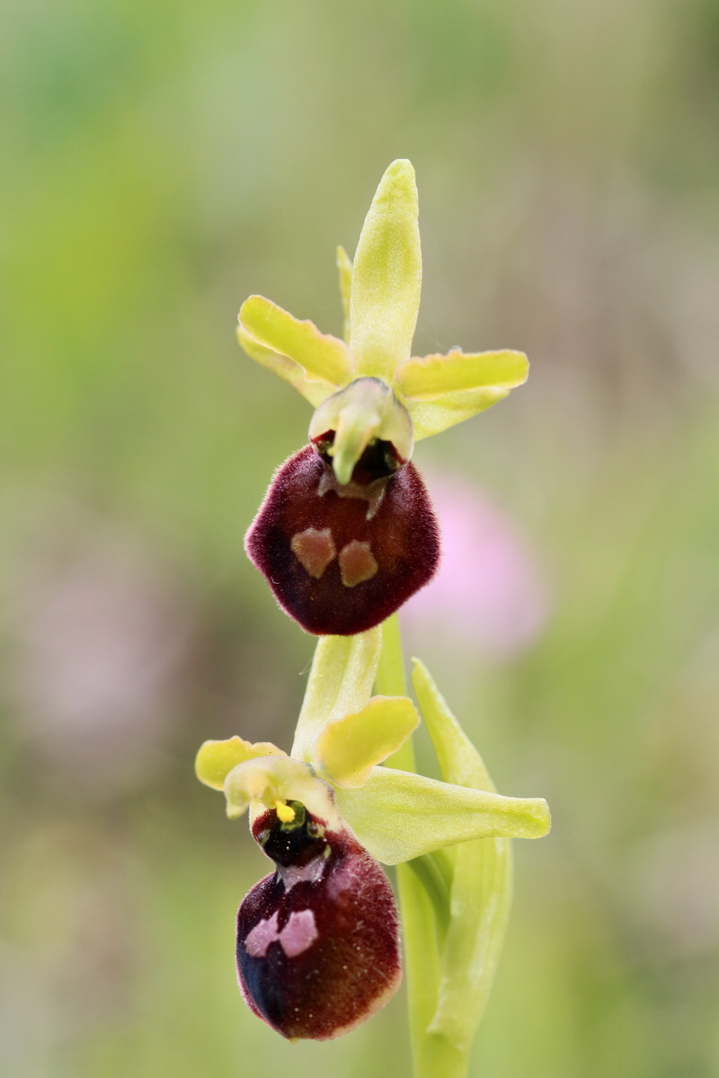 RNA_2017_05_06_2977p_Bildgr��e �ndern