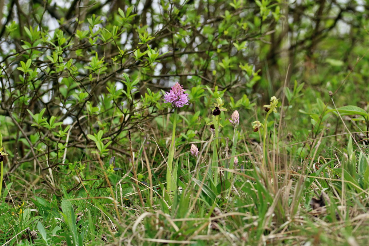 RNA_2017_05_06_2985p_Bildgr��e �ndern