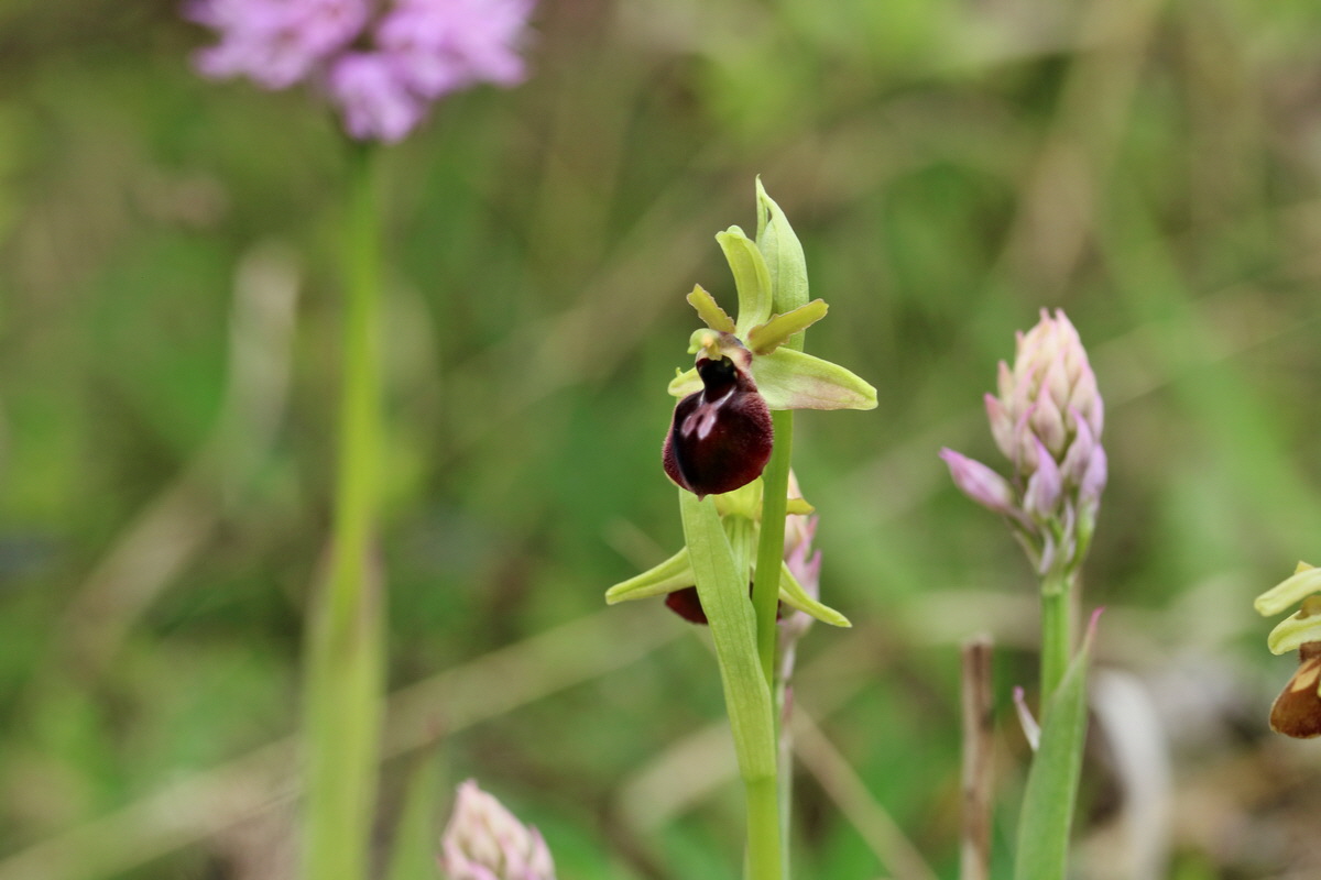 RNA_2017_05_06_2987p_Bildgr��e �ndern