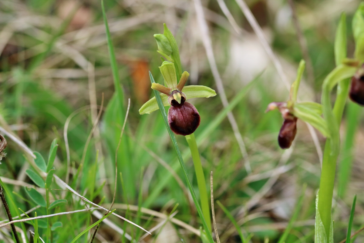 RNA_2017_05_06_2999p_Bildgr��e �ndern