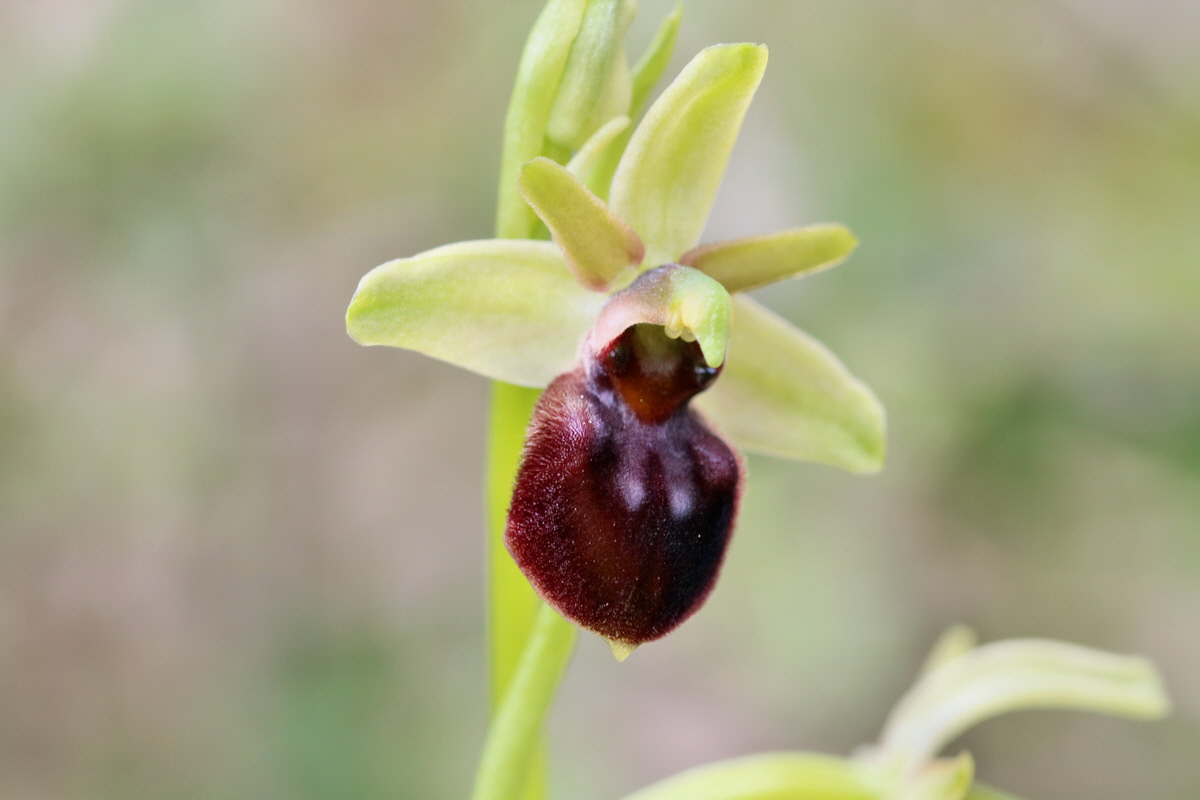 RNA_2017_05_06_3007p_Bildgr��e �ndern