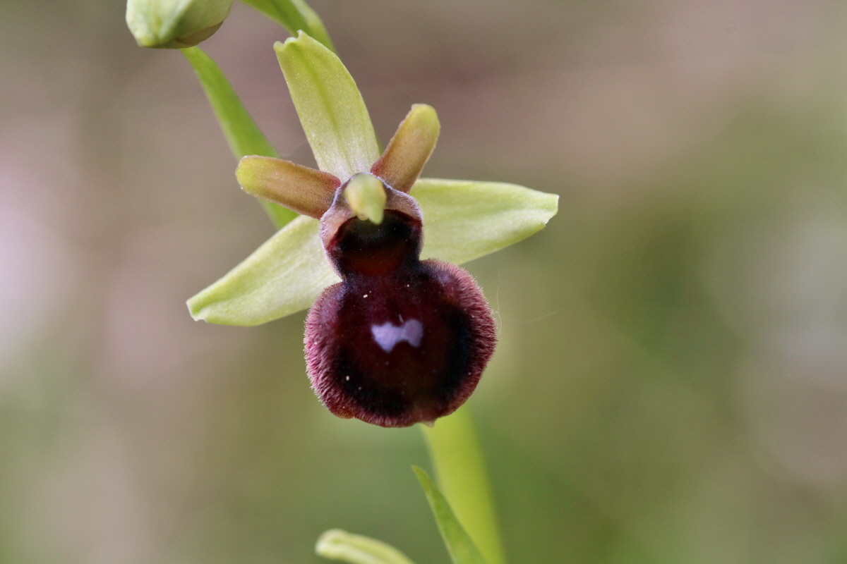 RNA_2017_05_06_3018p_Bildgr��e �ndern