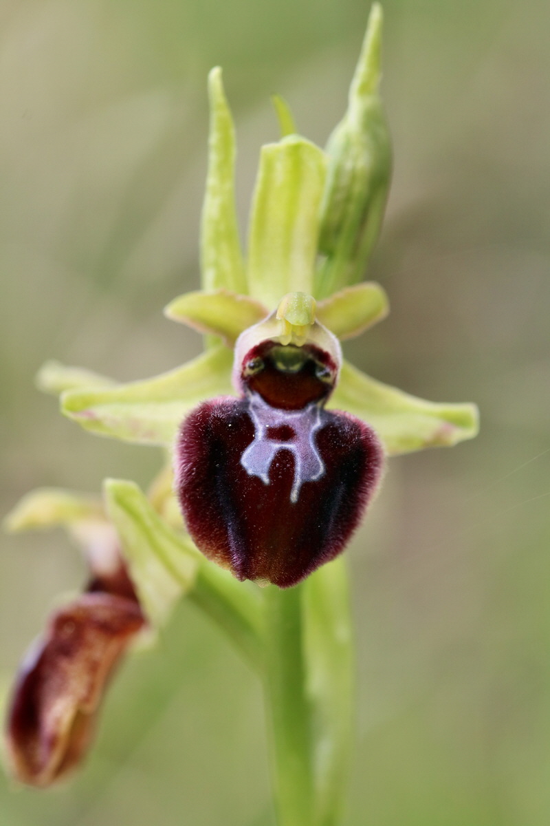 RNA_2017_05_06_3057p_Bildgr��e �ndern