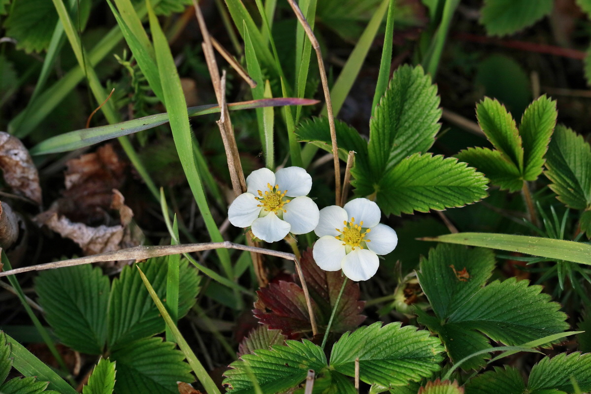 RNA_2017_05_06_3090p_Bildgr��e �ndern