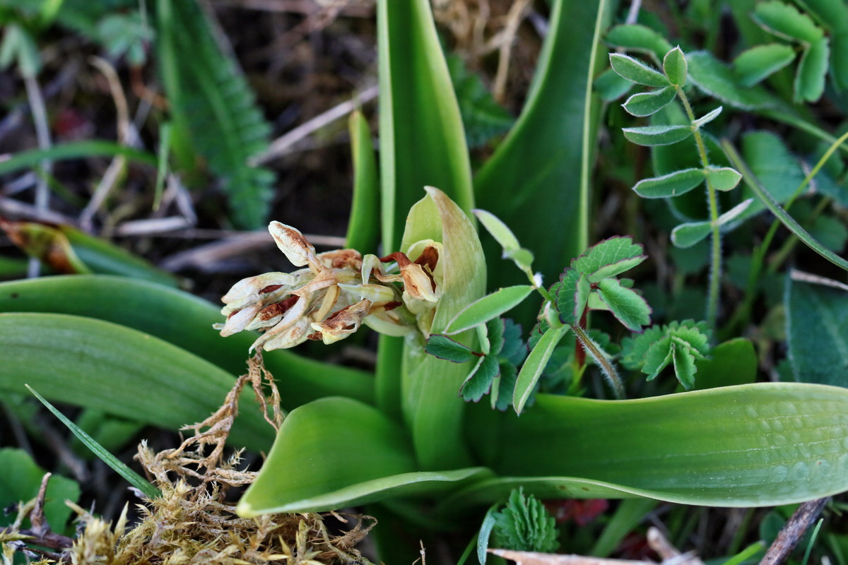 RNA_2017_05_06_3096p_Bildgr��e �ndern