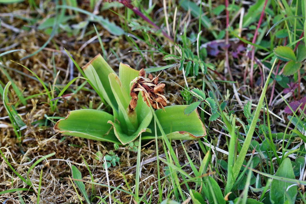 RNA_2017_05_06_3099p_Bildgr��e �ndern