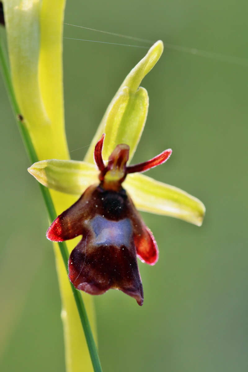 RNA_2017_05_06_3115p_Bildgr��e �ndern