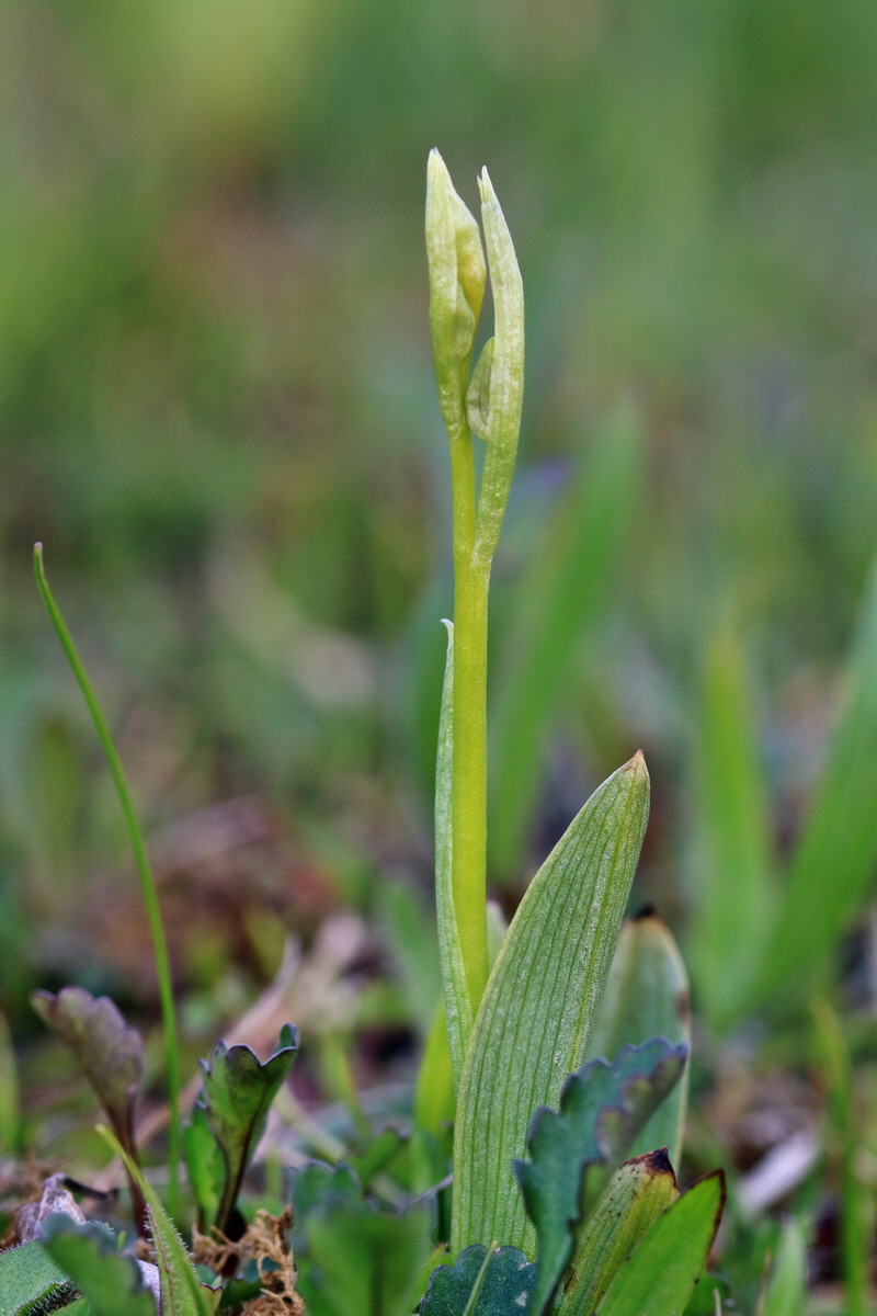 RNA_2017_05_06_3128p_Bildgr��e �ndern