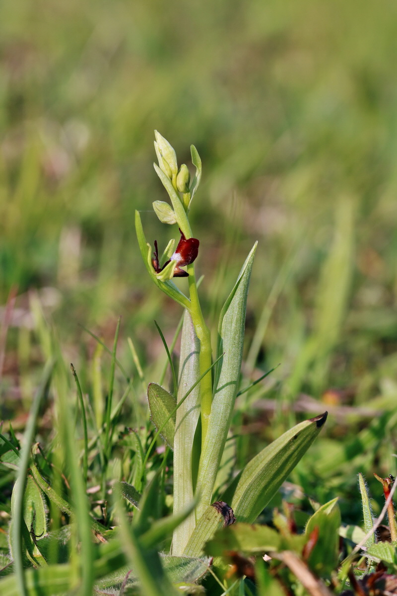 RNA_2017_05_06_3130p_Bildgr��e �ndern