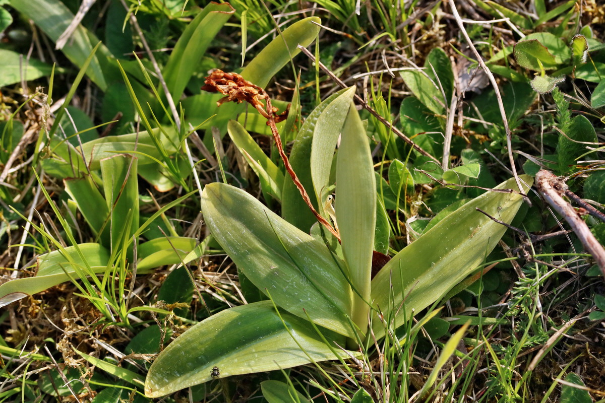 RNA_2017_05_06_3140p_Bildgr��e �ndern