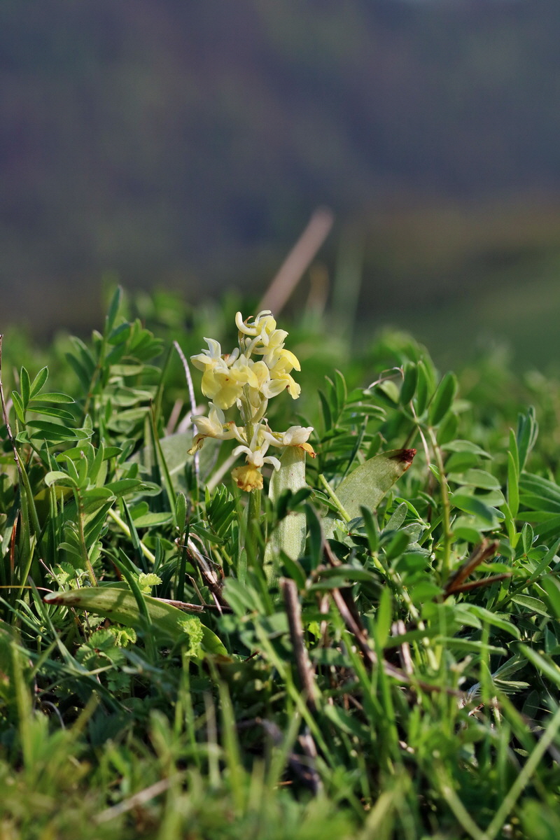 RNA_2017_05_06_3142p_Bildgr��e �ndern