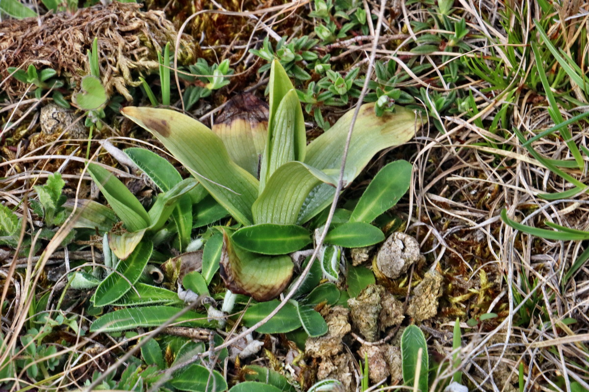 RNA-2017-04-07-00027822p_Bildgr��e �ndern