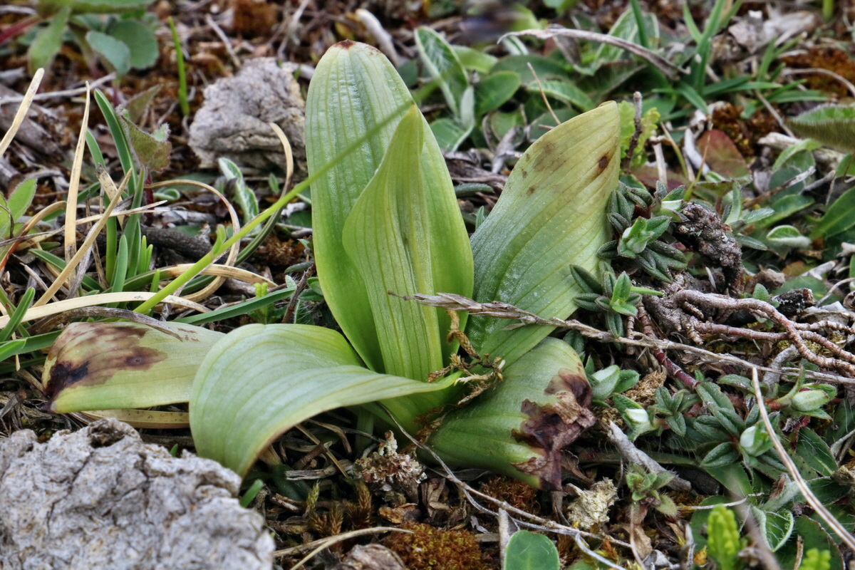 RNA-2017-04-07-00027825p_Bildgr��e �ndern