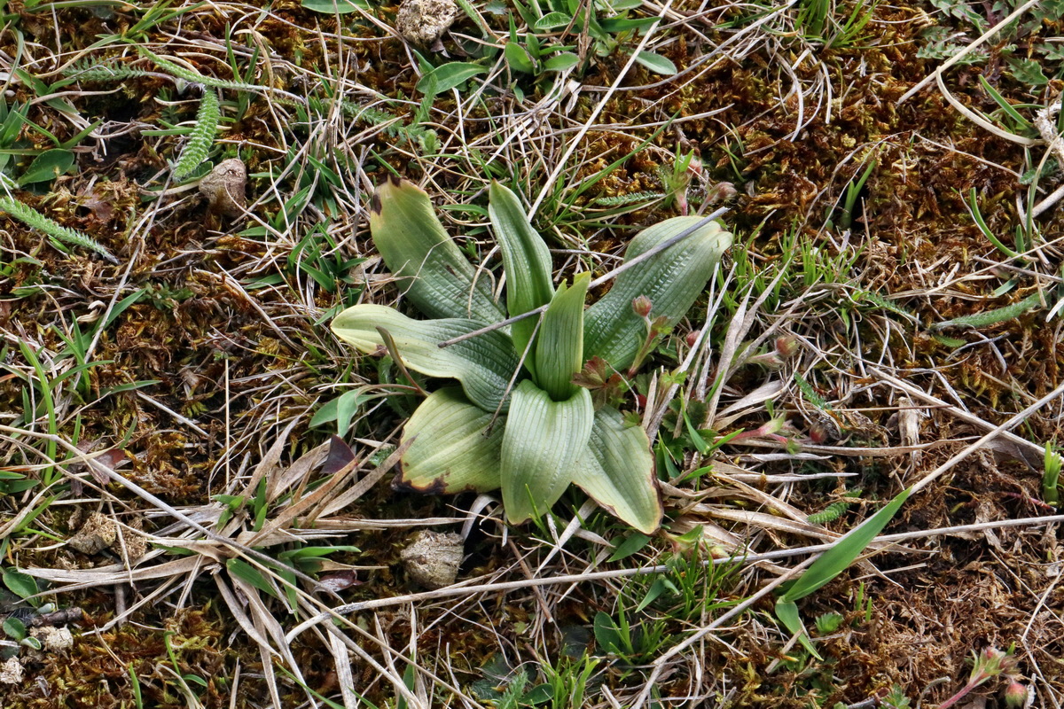 RNA-2017-04-07-00027830p_Bildgr��e �ndern