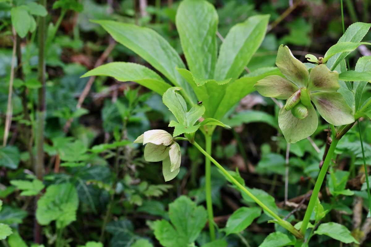 RNA_2017_05_07_3149p_Bildgr��e �ndern