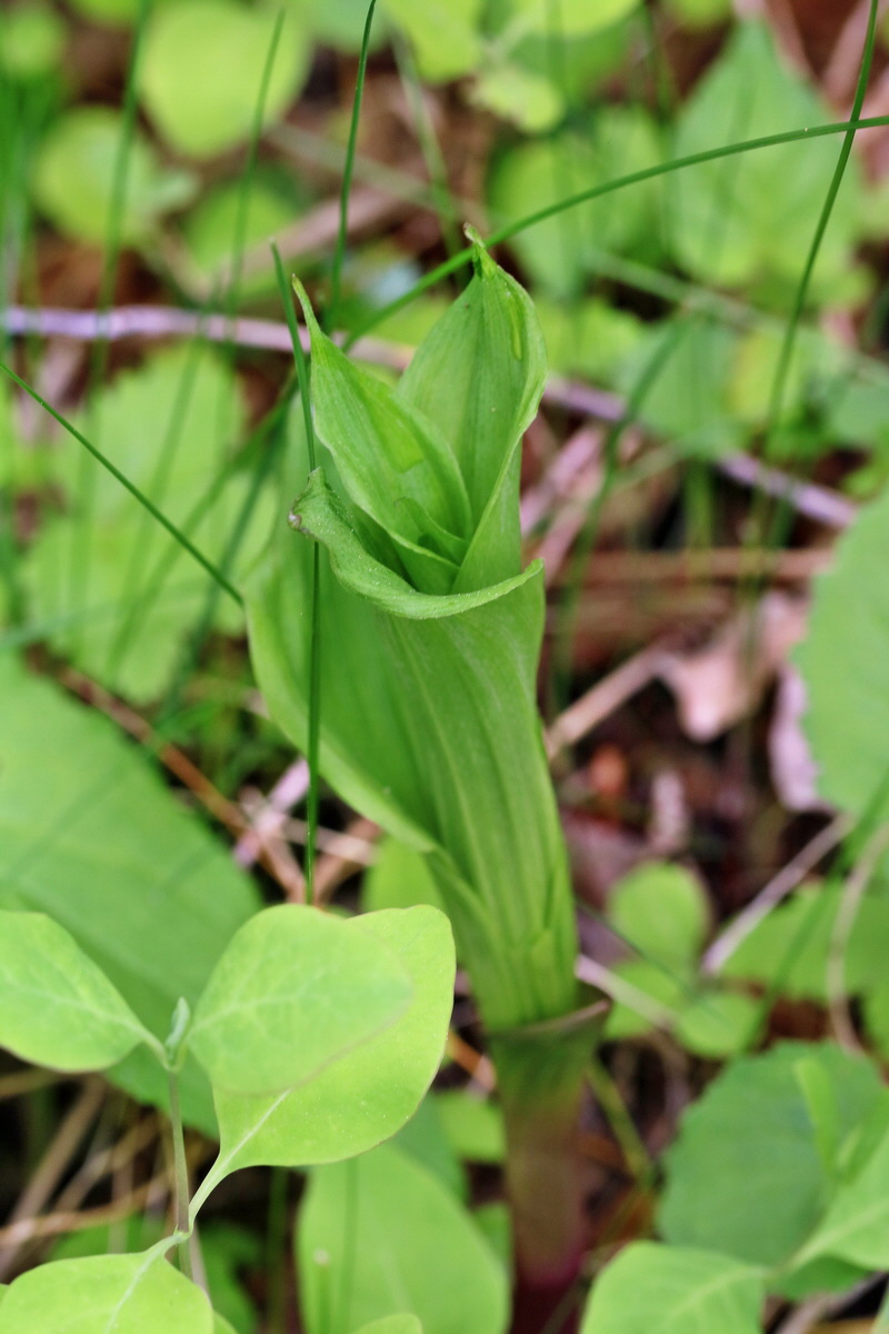 RNA_2017_05_07_3159p_Bildgr��e �ndern