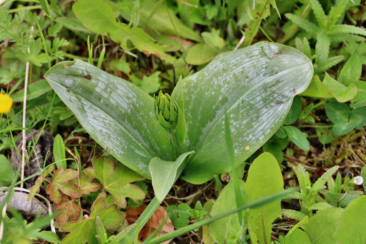 RNA_2017_05_07_3185p_Bildgr��e �ndern