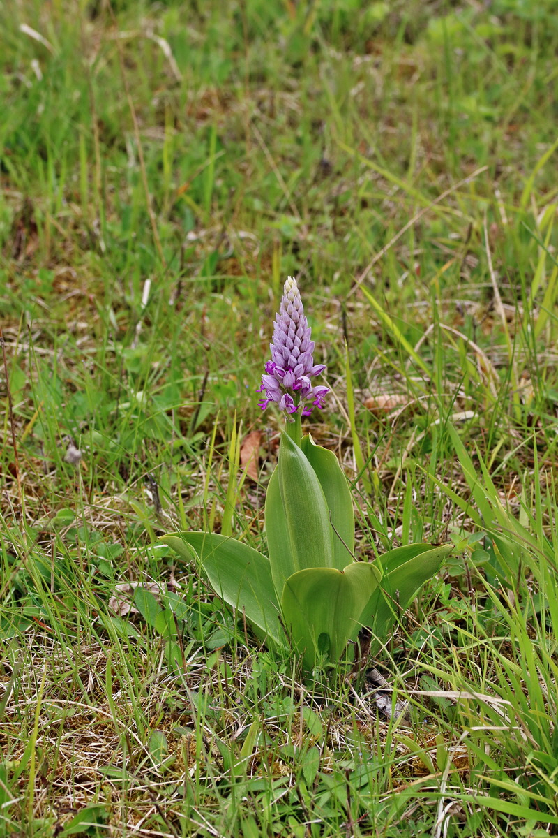 RNA_2017_05_07_3189p_Bildgr��e �ndern