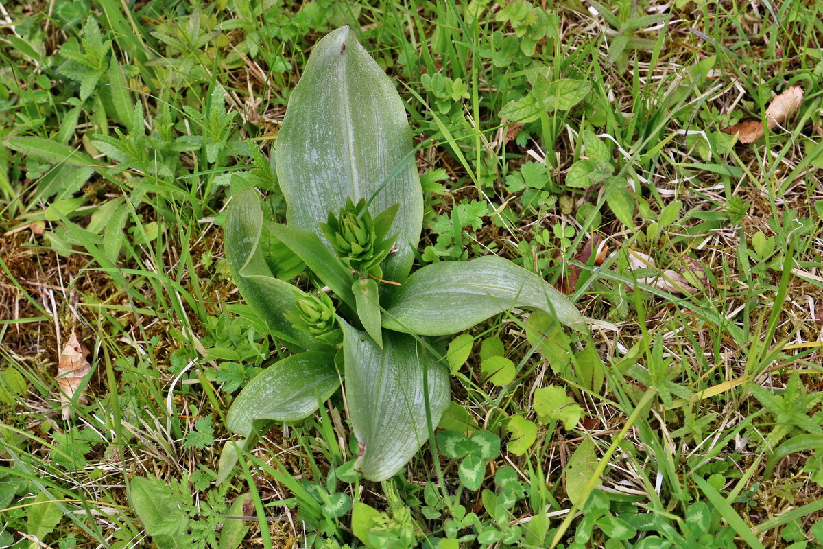 RNA_2017_05_07_3206p_Bildgr��e �ndern