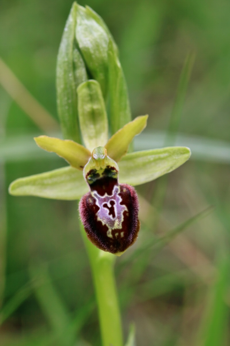 RNA_2017_05_07_3227p_Bildgr��e �ndern