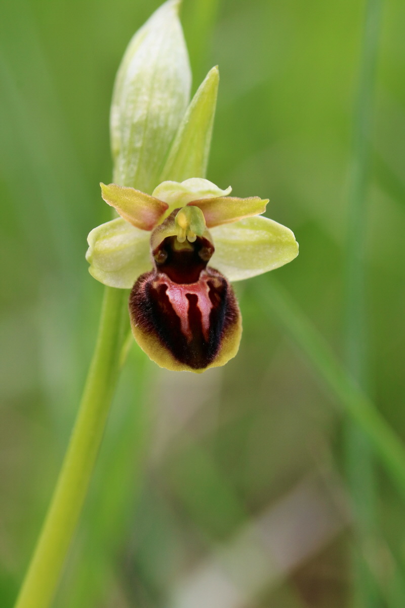 RNA_2017_05_07_3234p_Bildgr��e �ndern