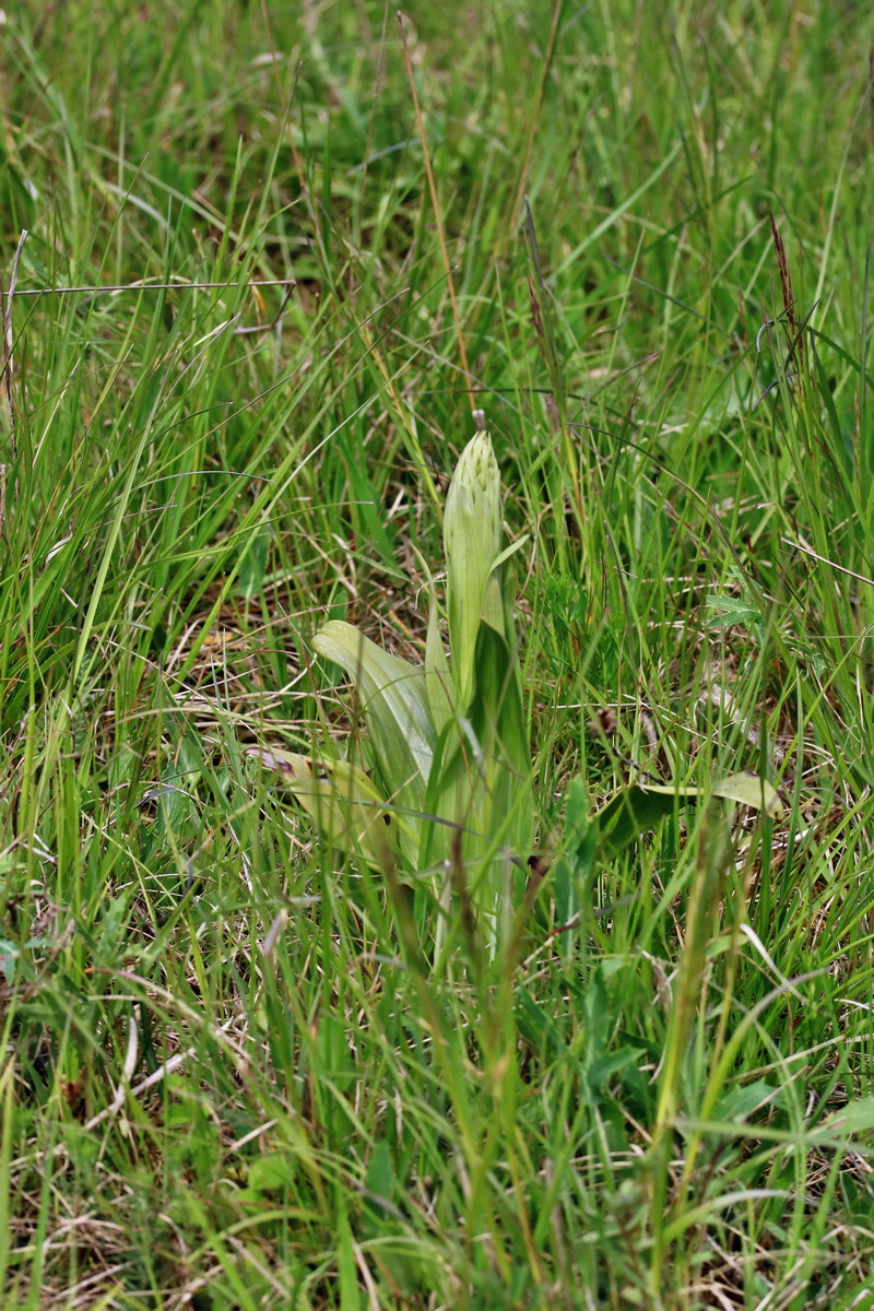 RNA_2017_05_07_3241p_Bildgr��e �ndern