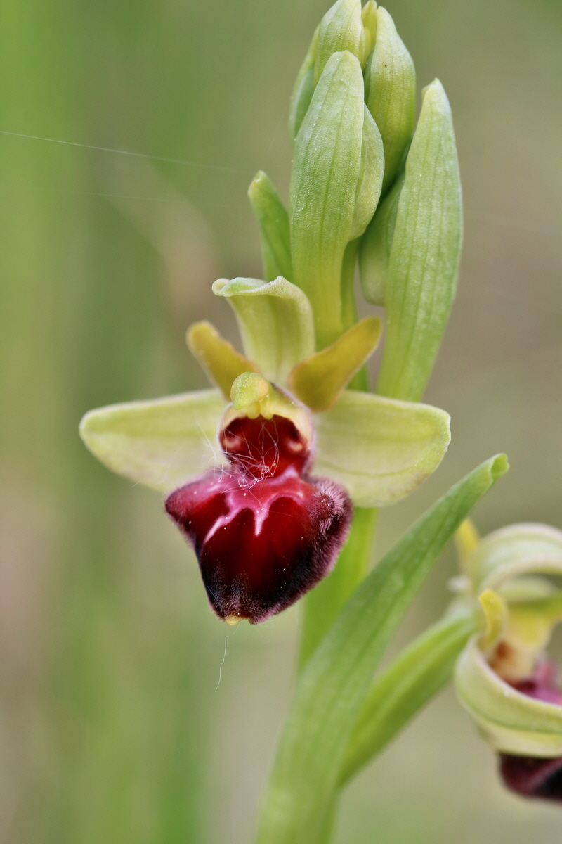 RNA_2017_05_07_3246p_Bildgr��e �ndern