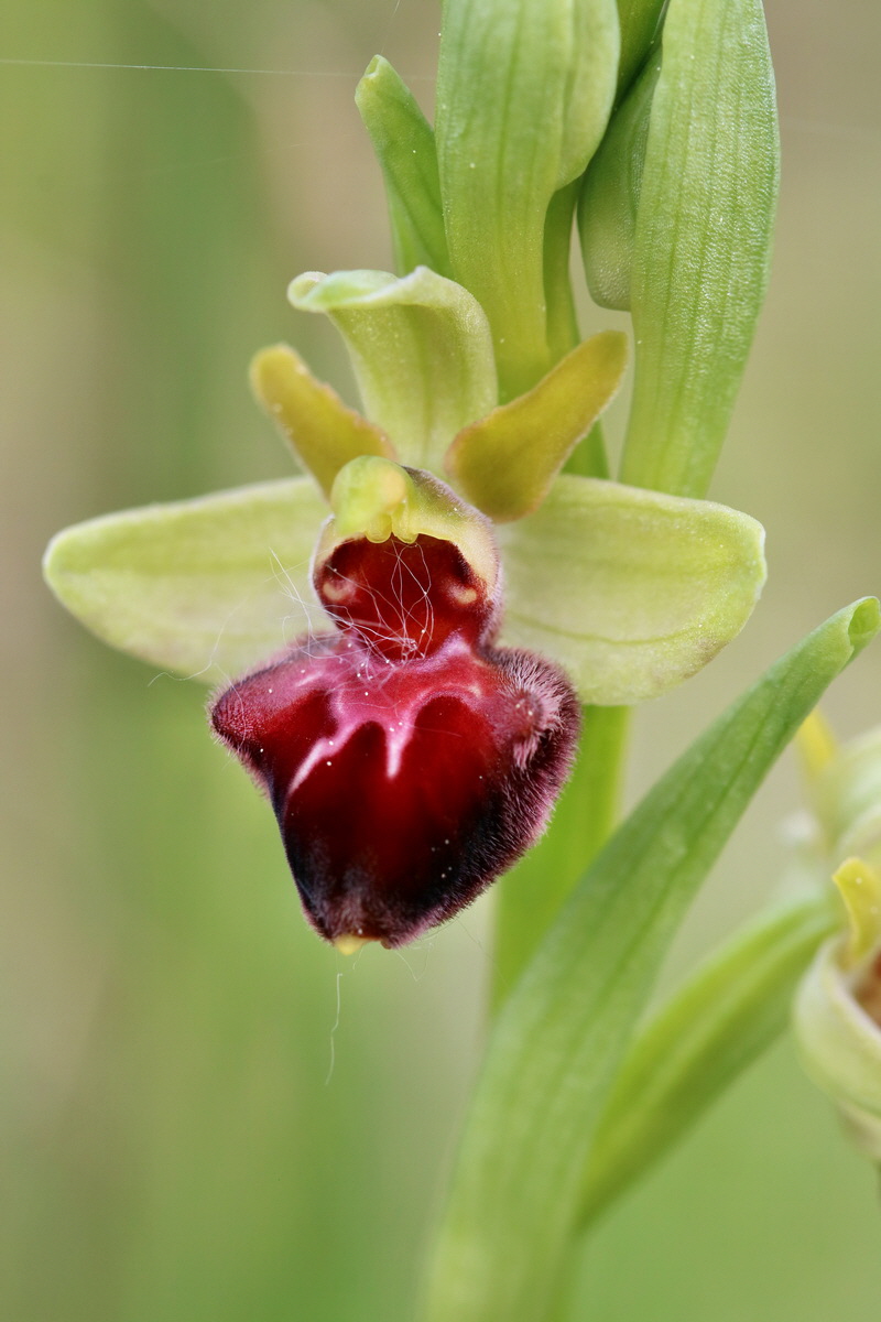 RNA_2017_05_07_3248p_Bildgr��e �ndern