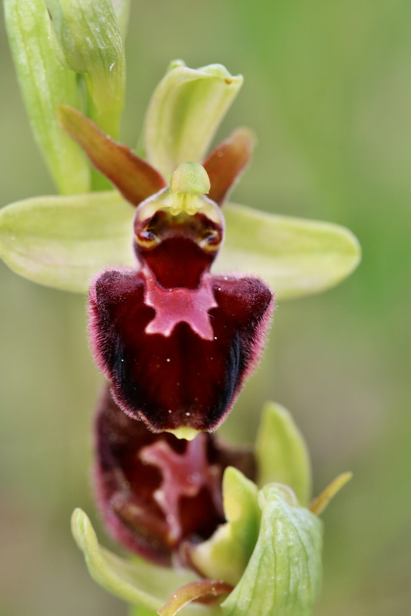 RNA_2017_05_07_3252p_Bildgr��e �ndern