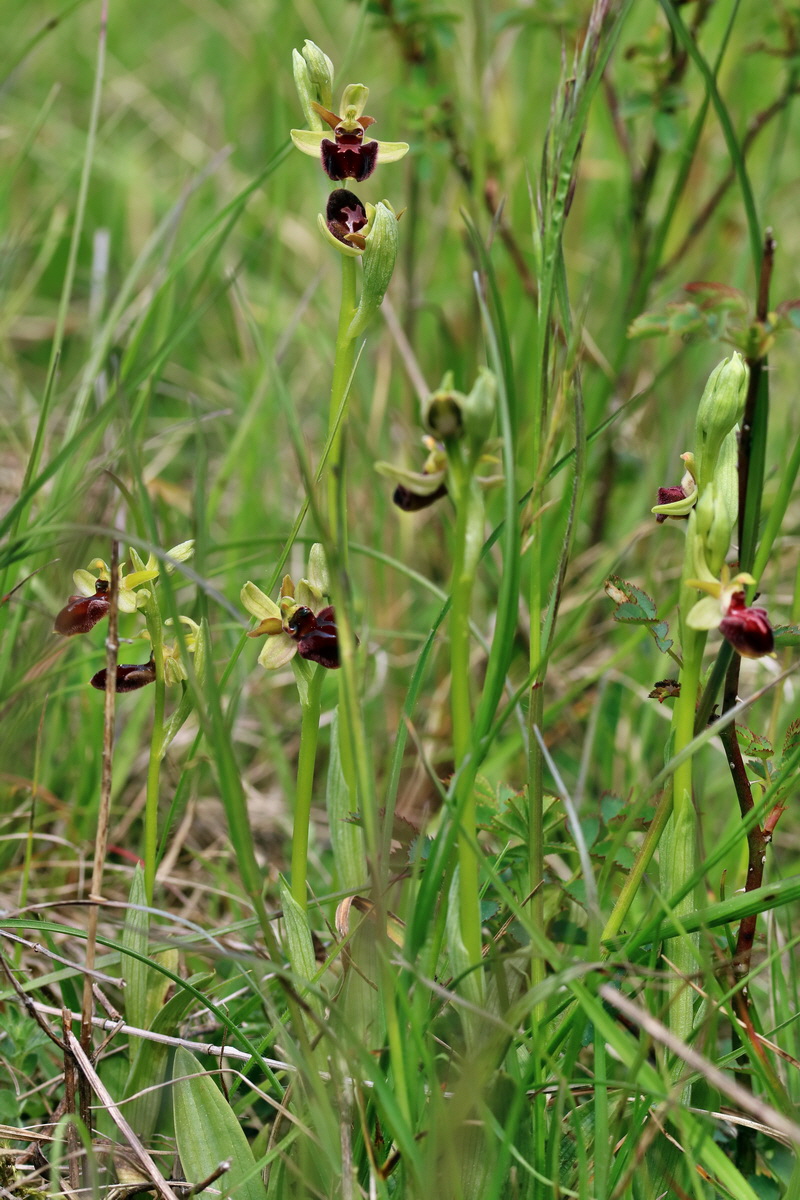 RNA_2017_05_07_3263p_Bildgr��e �ndern