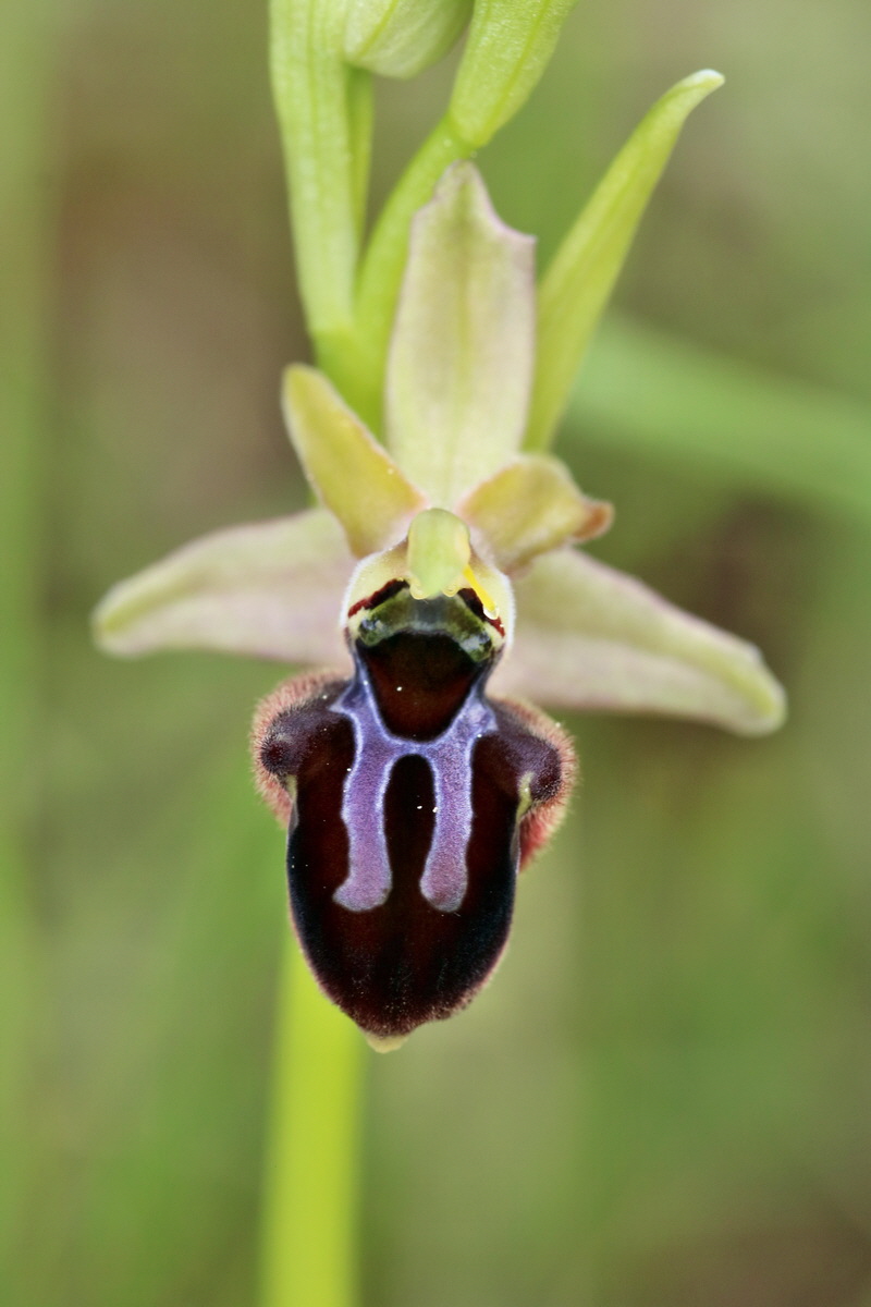 RNA_2017_05_07_3266p_Bildgr��e �ndern