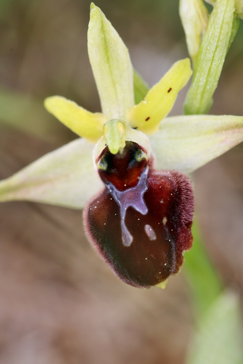 RNA_2017_05_07_3277p_Bildgr��e �ndern