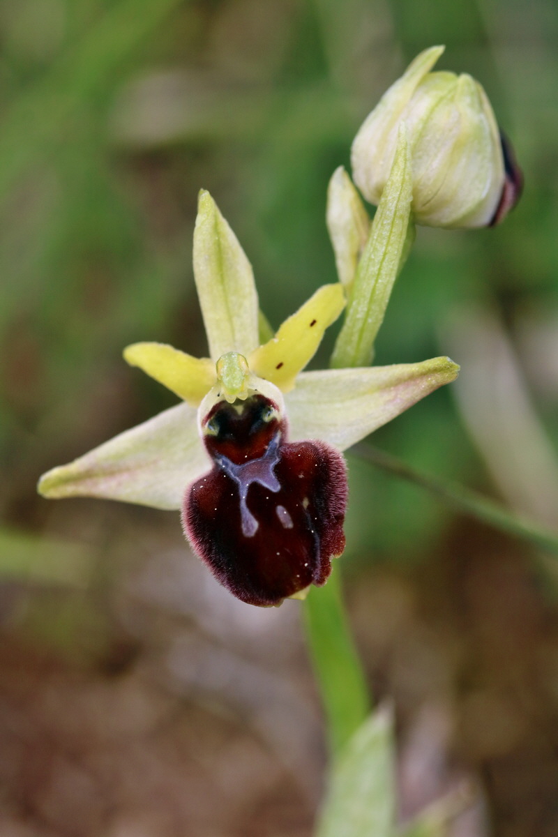 RNA_2017_05_07_3282p_Bildgr��e �ndern