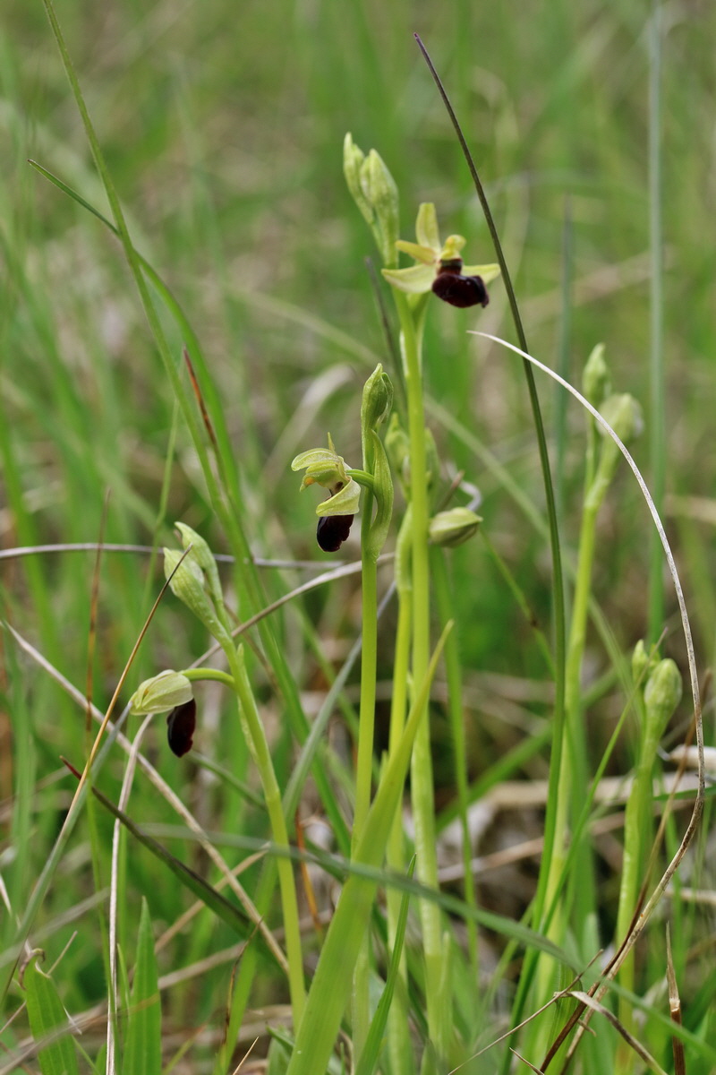 RNA_2017_05_07_3287p_Bildgr��e �ndern