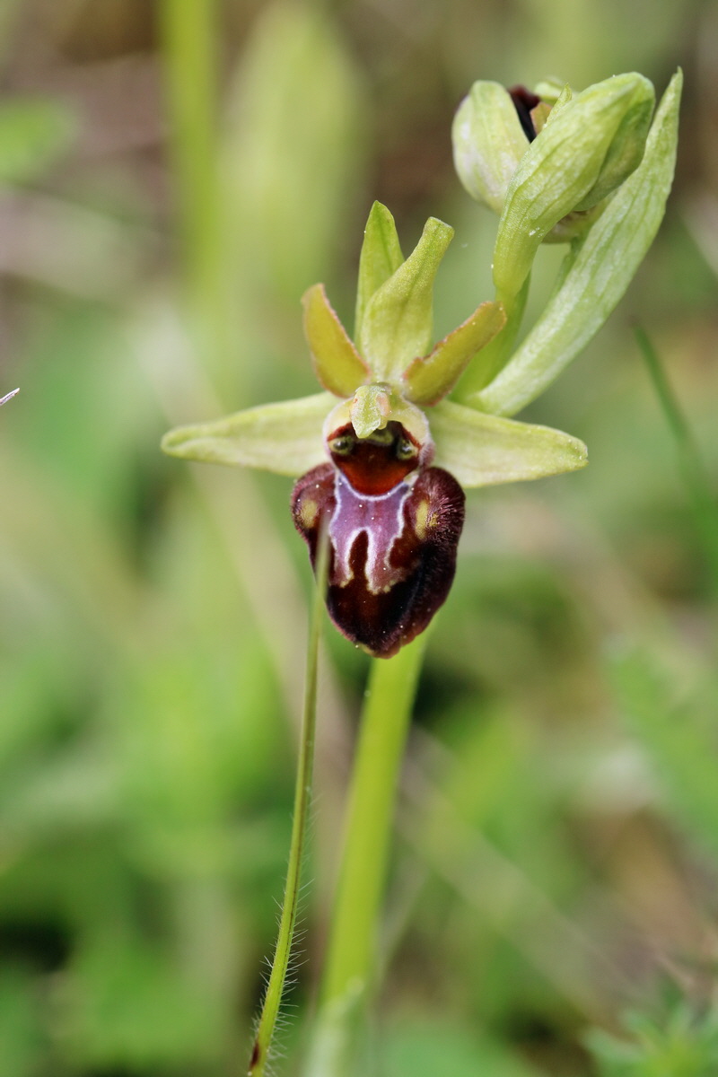 RNA_2017_05_07_3290p_Bildgr��e �ndern