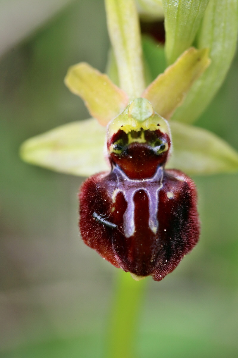 RNA_2017_05_07_3293p_Bildgr��e �ndern