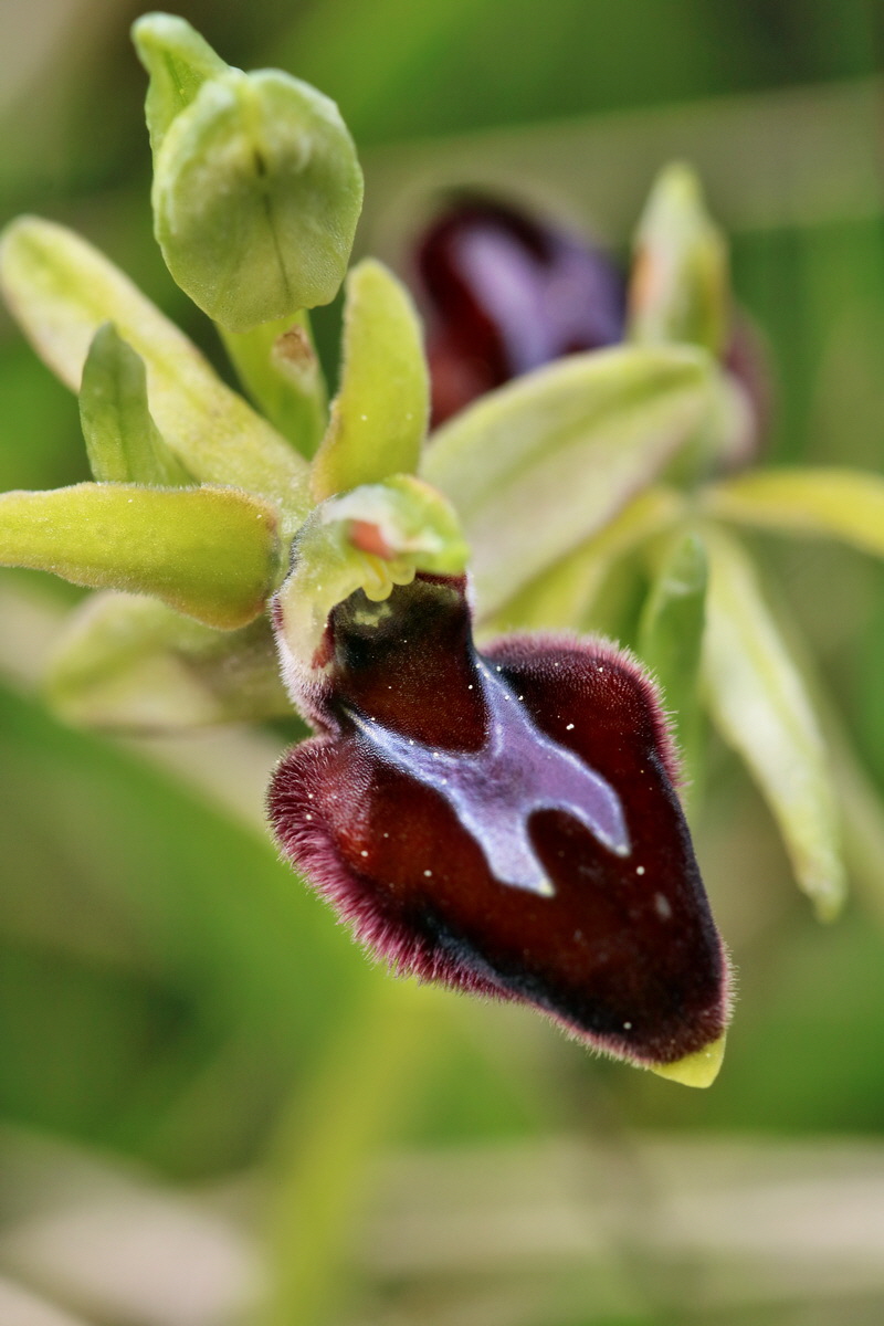 RNA_2017_05_07_3298p_Bildgr��e �ndern