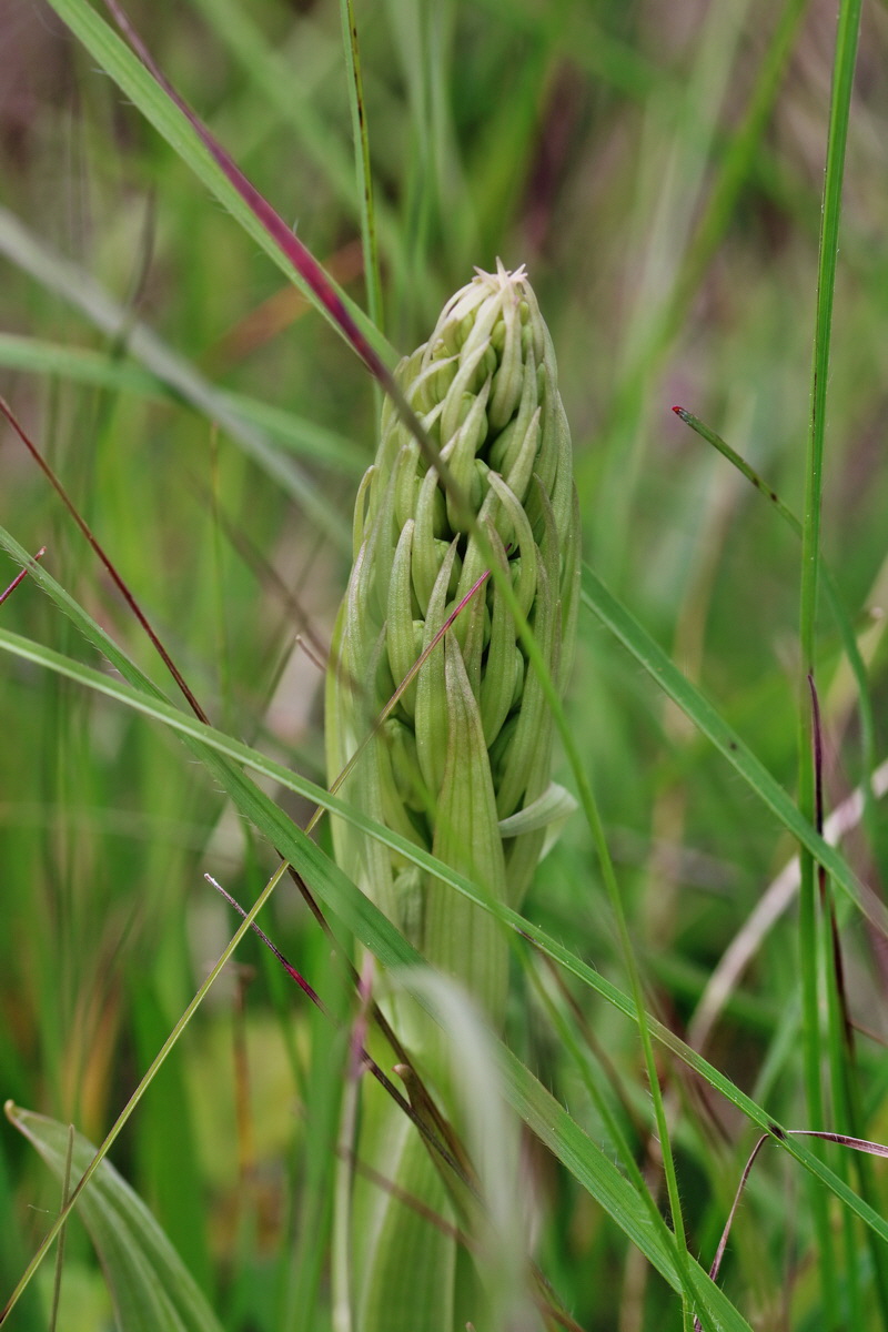 RNA_2017_05_07_3304p_Bildgr��e �ndern