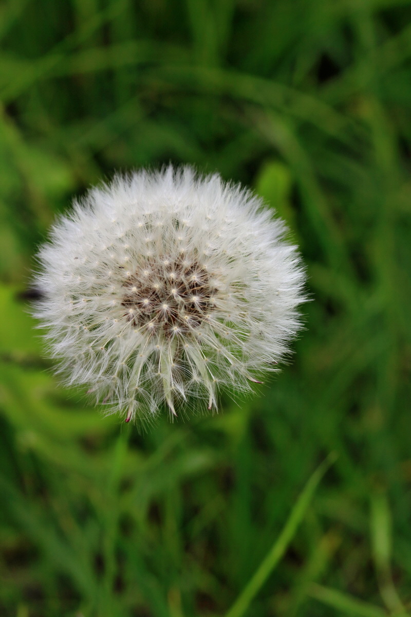 RNA_2017_05_07_3318p_Bildgr��e �ndern