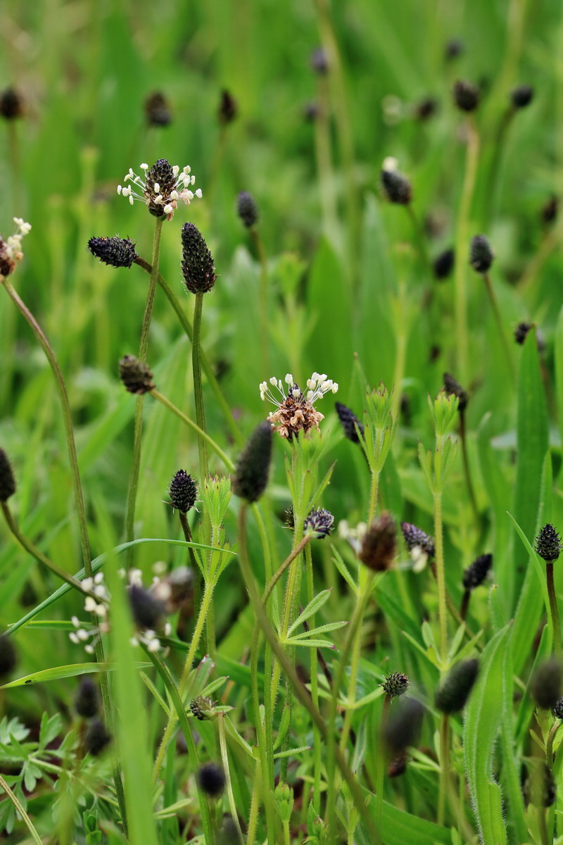 RNA_2017_05_07_3323p_Bildgr��e �ndern