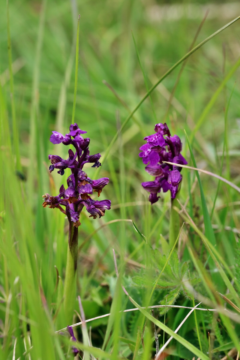 RNA_2017_05_07_3326p_Bildgr��e �ndern